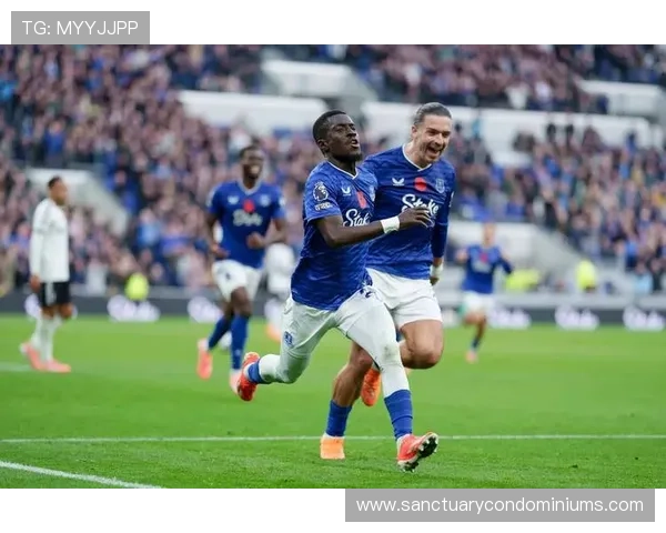 埃弗顿本赛季英超表现稳健，近期状态持续提升