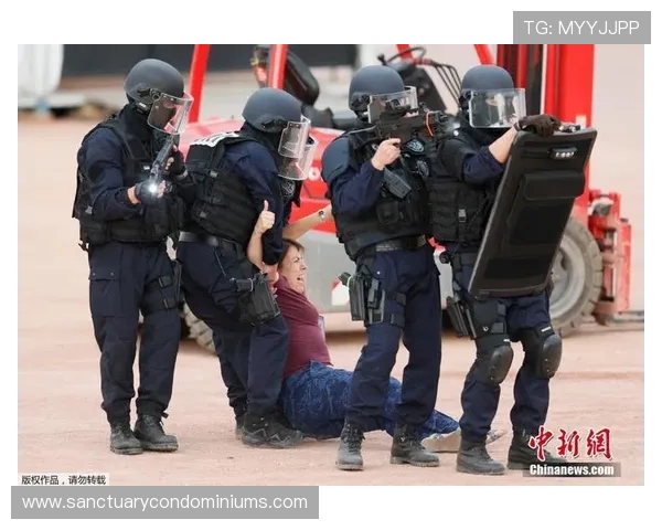 欧洲杯安保记录