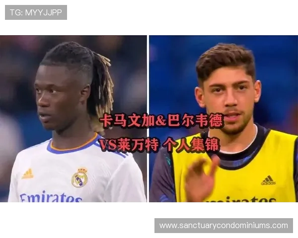 卡马文加 vs 巴尔韦德：皇马中场攻防角色与战术适配差异
